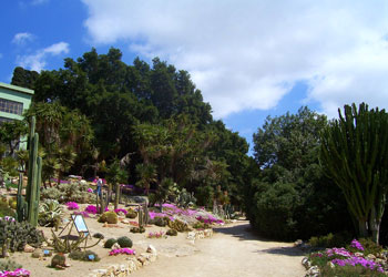 Orto Botanico  Orto Botanico