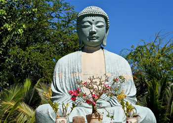 Japanese Jodo Mission 