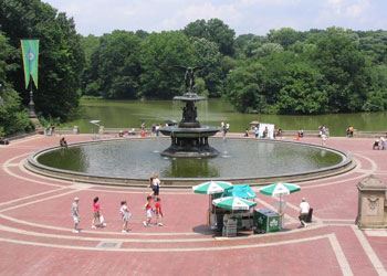 Central Park 