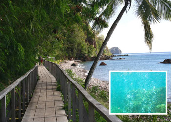 Champagne Beach  Champagne Beach