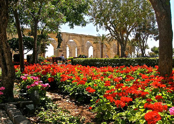 Upper Baracca Gardens 