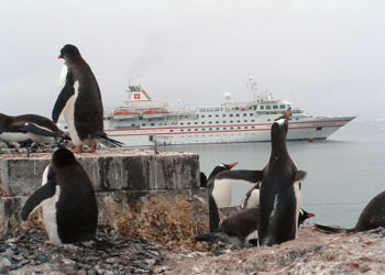 Paradise Bay, Antarctica